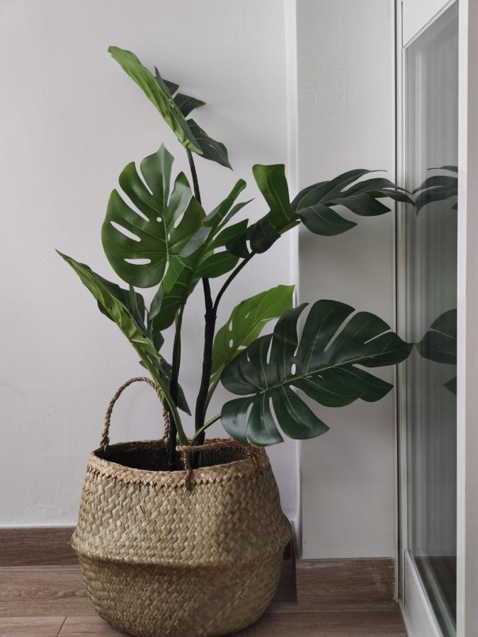 Apartamento Ohana, Costa Del Sol 阿尔加罗沃 外观 照片